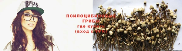 тгк Алзамай