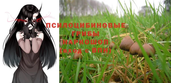 тгк Алзамай