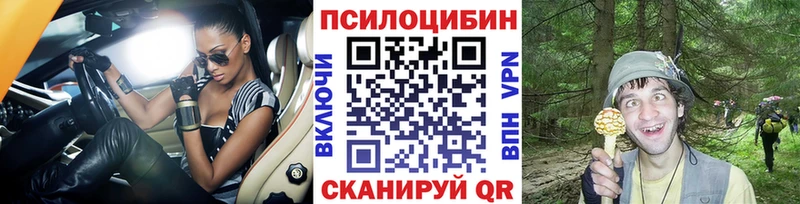 дарк нет формула  Белгород  Псилоцибиновые грибы Cubensis 
