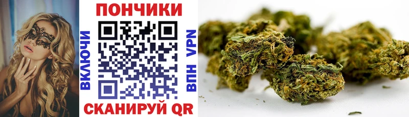 Бошки Шишки план  Белгород 
